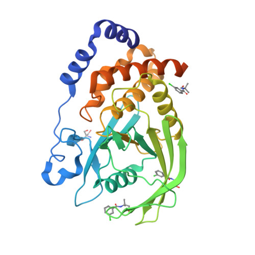 RCSB PDB 5QFN PanDDA Analysis Group Deposition Crystal Structure