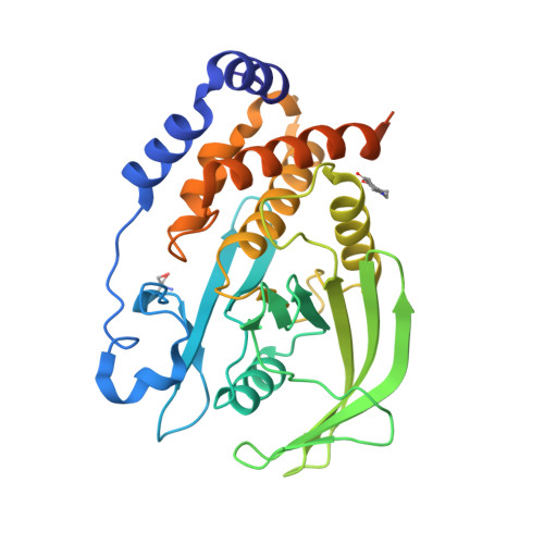 RCSB PDB 5QFP PanDDA Analysis Group Deposition Crystal Structure