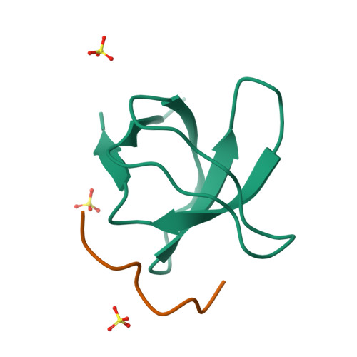 RCSB PDB 5QU2 Crystal Structure Of Human Nck SH3 1 In Complex With