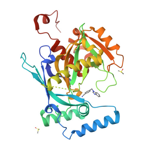 RCSB PDB 5R54 PanDDA Analysis Group Deposition Crystal Structure