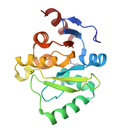 RCSB PDB 5RSU PanDDA Analysis Group Deposition Crystal Structure