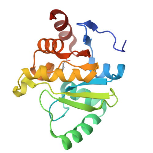 Rcsb Pdb Rsw Pandda Analysis Group Deposition Crystal Structure