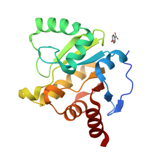 RCSB PDB 5RVN PanDDA Analysis Group Deposition Crystal Structure