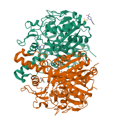 RCSB PDB 5SNH PanDDA Analysis Group Deposition Crystal Structure