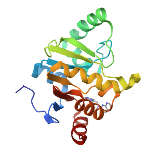 RCSB PDB 5SP1 PanDDA Analysis Group Deposition Crystal Structure