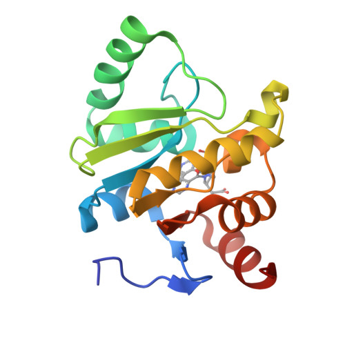 Rcsb Pdb Spp Pandda Analysis Group Deposition Crystal Structure