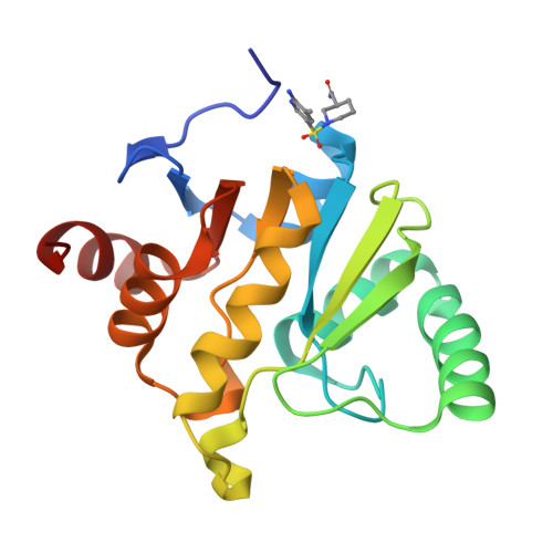 RCSB PDB 5SPU PanDDA Analysis Group Deposition Crystal Structure