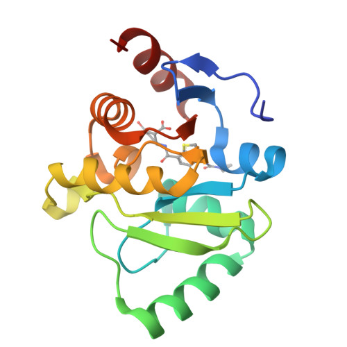 RCSB PDB 5SQY PanDDA Analysis Group Deposition Crystal Structure