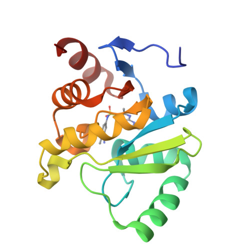 RCSB PDB 5SS2 PanDDA Analysis Group Deposition Crystal Structure