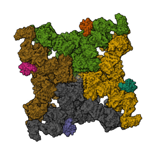 Rcsb Pdb T M Structure Of Rabbit Ryr Ca Only Dataset Class