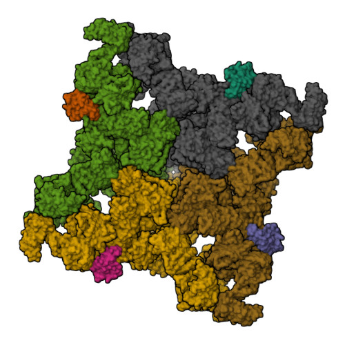 Rcsb Pdb Taz Structure Of Rabbit Ryr Ryanodine Dataset Class