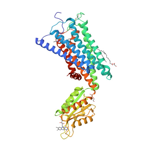 Rcsb Pdb Tgz Crystal Structure Of The Human Cannabinoid Receptor Cb