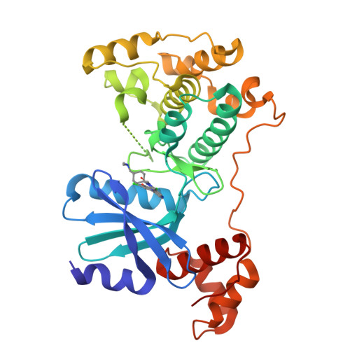 RCSB PDB 5TVT Structure Of Maternal Embryonic Leucine Zipper Kinase