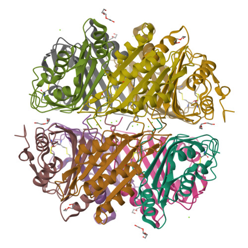 RCSB PDB 5UDG Mutant E97Q Crystal Structure Of Bacillus Subtilis