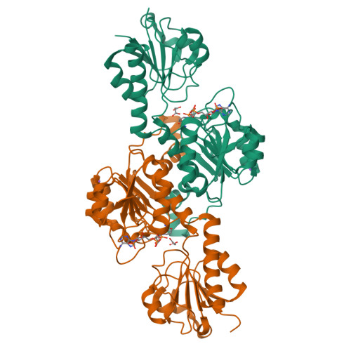 RCSB PDB 5V6Q Crystal Structure Of NADPH Dependent Glyoxylate