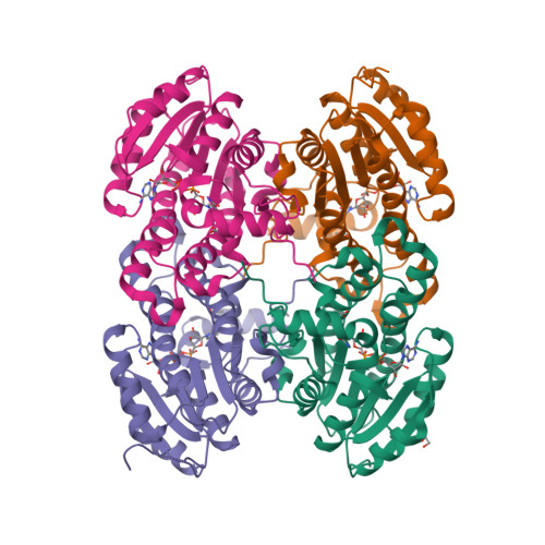 Rcsb Pdb Vn Crystal Structure Of Oxoacyl Acyl Carrier Protein