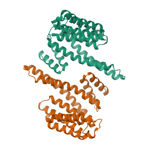 Rcsb Pdb Wfx Structural Basis For The Interaction Of Beta