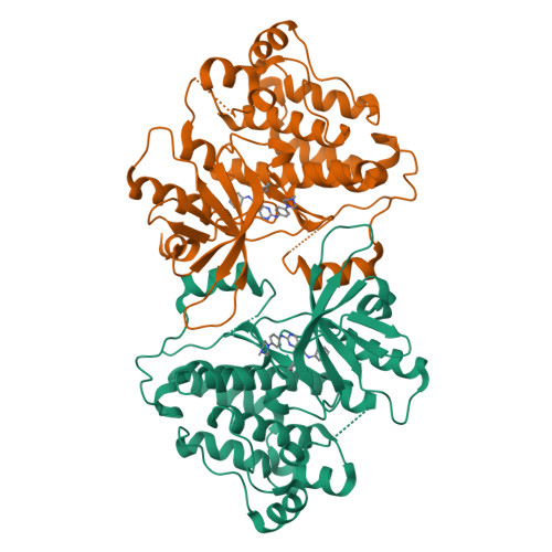 Rcsb Pdb X F Crystal Structure Of Egfr T M V R In