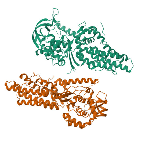 Rcsb Pdb Xgq Crystal Structure Of Apo Form Free State