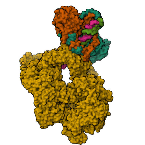 RCSB PDB 5Y3R Cryo EM Structure Of Human DNA PK Holoenzyme