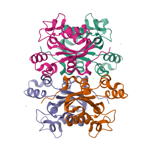 Rcsb Pdb Yih Crystal Structure Of Tetrameric Nucleoside Diphosphate