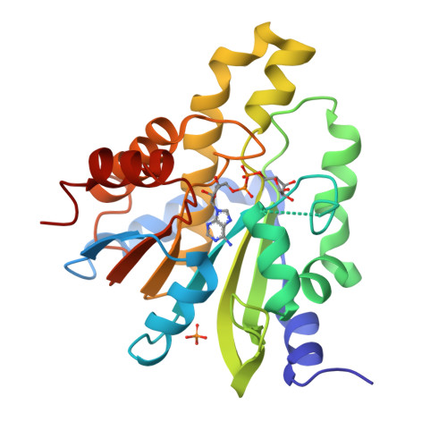 Rcsb Pdb Zdd Crystal Structure Of Poly Adp Ribose Glycohydrolase