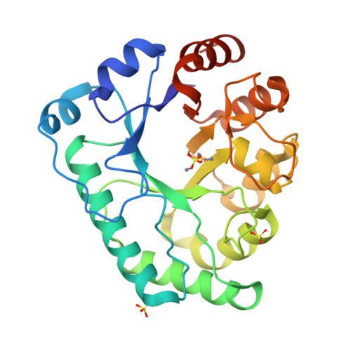 Rcsb Pdb Zhz Crystal Structure Of The Apurinic Apyrimidinic