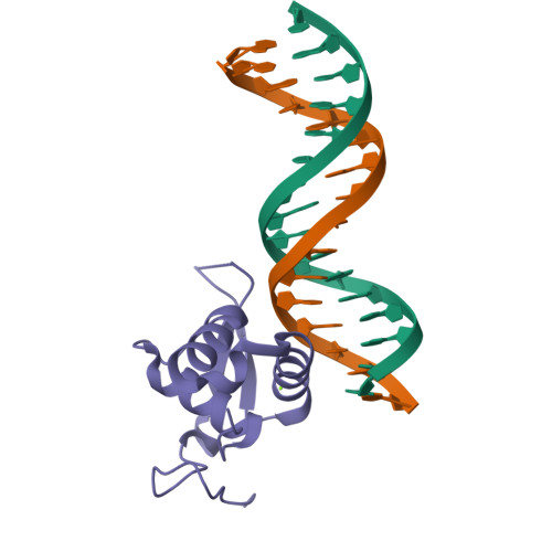 Rcsb Pdb Akp Crystal Structural Of Foxc Dna Binding Domain Bound