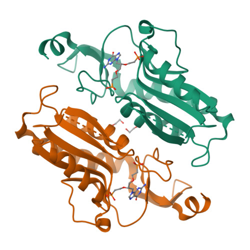 RCSB PDB 6APT Trypanosoma Brucei Hypoxanthine Guanine