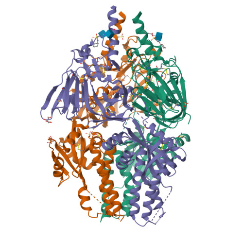 Rcsb Pdb Eai Crystal Structure Of Human Respiratory Syncytial Virus