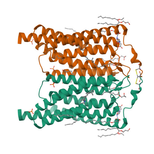 RCSB PDB 6EID Crystal Structure Of Wild Type Channelrhodopsin 2