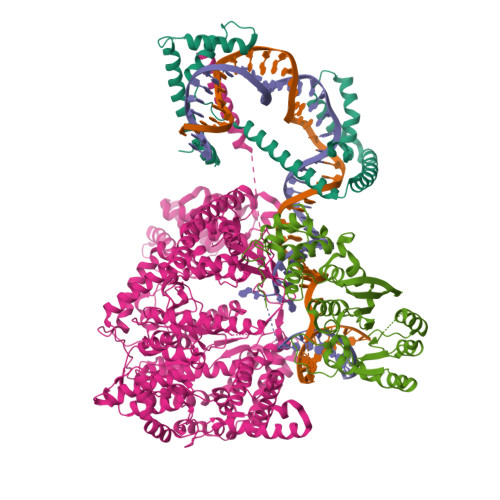 Rcsb Pdb Erq Structure Of The Human Mitochondrial Transcription