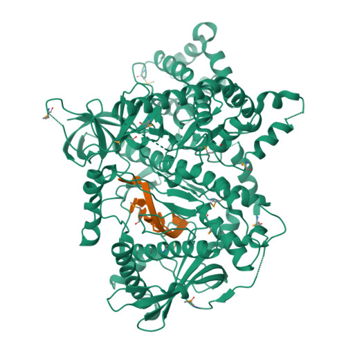 Rcsb Pdb F H Crystal Structure Of Dss Exoribonuclease Active Site