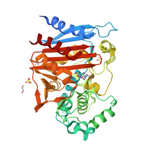 RCSB PDB 6FM7 Crystal Structure Of The Class C Beta Lactamase TRU 1