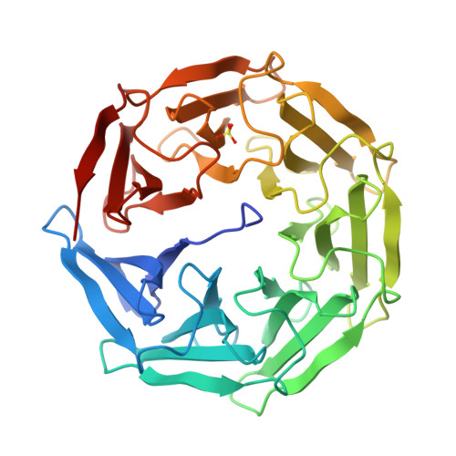 Rcsb Pdb Gxr Crystal Structure Of Bp L Lectin From Burkholderia