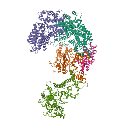 Rcsb Pdb Gyu Cryo Em Structure Of The Cbf Msk Complex Of The