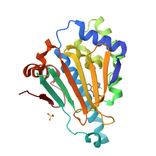 Rcsb Pdb Hhr Hsp In Complex With Dihydroxy Phenyl