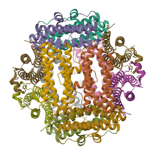 RCSB PDB 6HV1 The Apo Structure Of Dps From Listeria Innocua Before