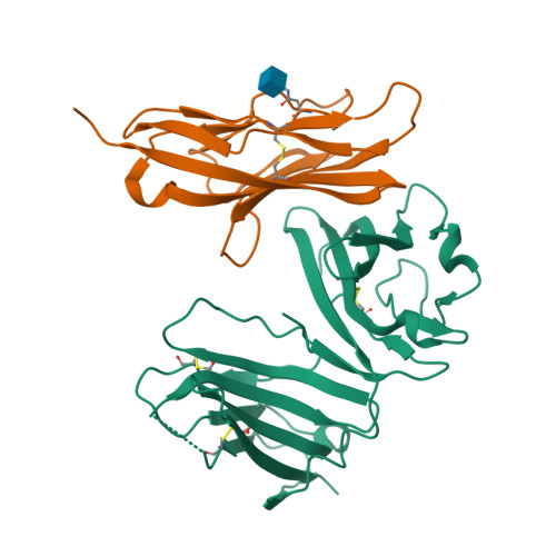 RCSB PDB 6ISC Complex Structure Of MCD226 Ecto And HCD155 D1