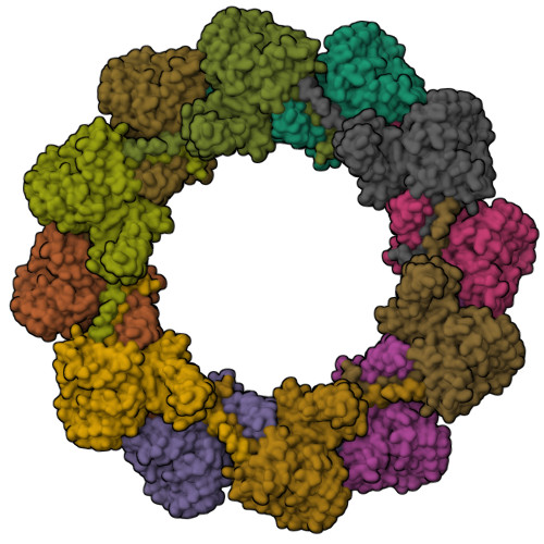 Rcsb Pdb J C Cryo Em Structure Of An Extracellular Contractile