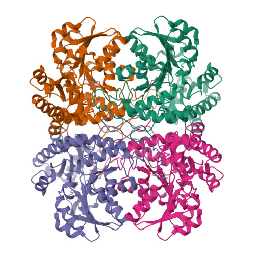 Rcsb Pdb K L E A Mutant Of A Putative Cystathionine Gamma Lyase