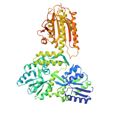 RCSB PDB 6KEA Crystal Structure Of MBP Tagged REV7 IpaB Complex