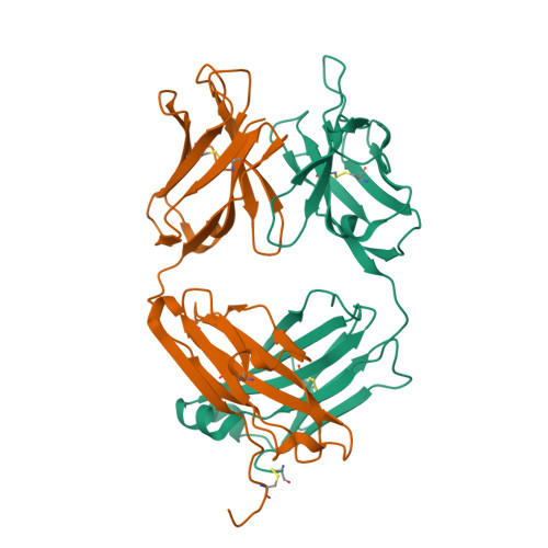 Rcsb Pdb L T Crystal Structure Of The Fab Fragment Of A Humanized