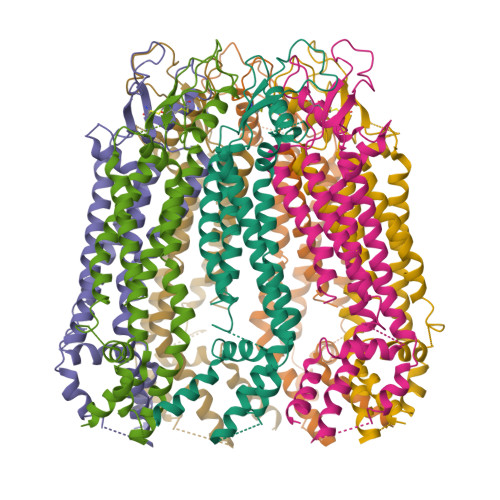 RCSB PDB 6LTN Cryo EM Structure Of C Terminal Truncated Human Pannexin1