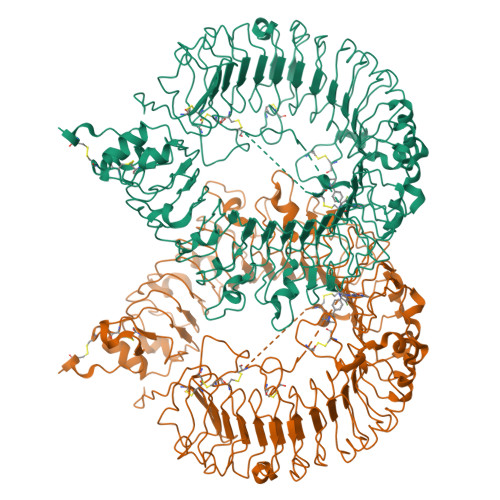 RCSB PDB 6LW1 Cryo EM Structure Of TLR7 Cpd 7 DSR 139970 Complex