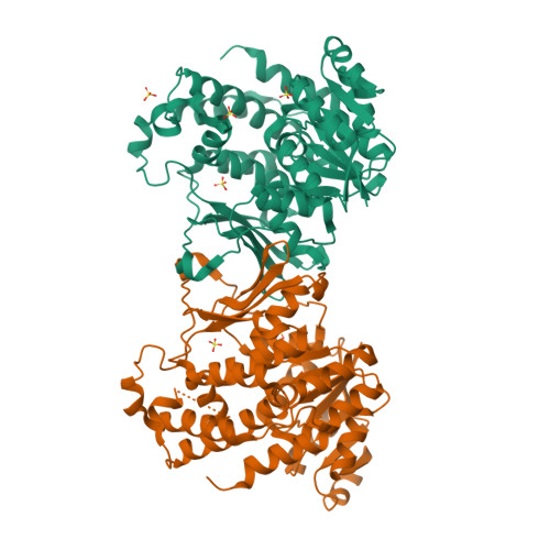 Rcsb Pdb Mh Crystal Structure Of Deoxy D Xylulose Phosphate