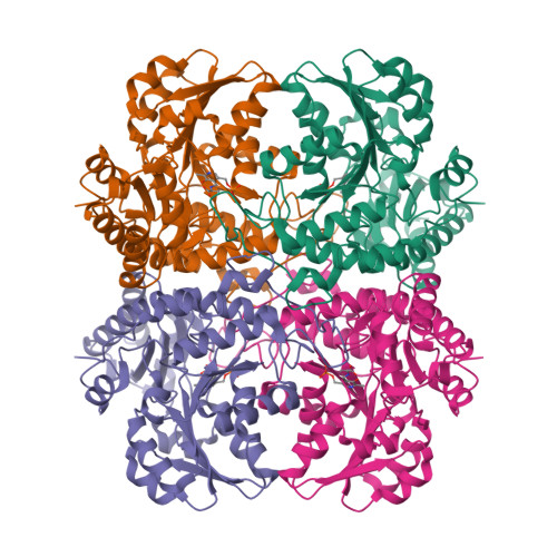 Rcsb Pdb Nba Crystal Structure Of Human Cystathionine Gamma Lyase