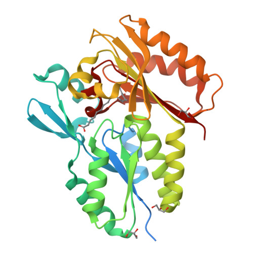 Rcsb Pdb Nr The X Ray Crystal Structure Of Streptococcus