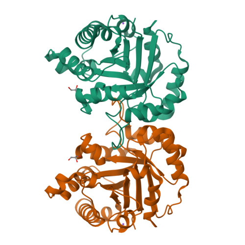 RCSB PDB 6NXR Crystal Structure Of Arabidopsis Thaliana Cytosolic