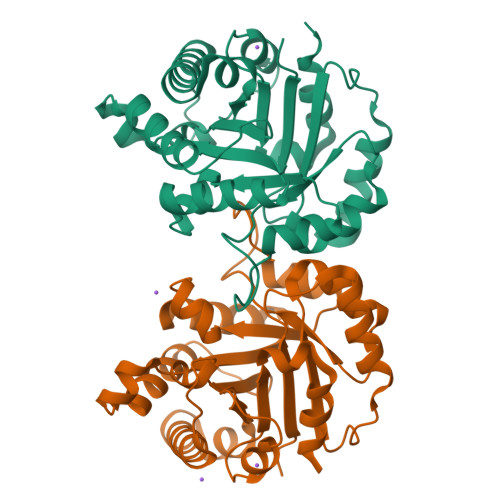 Rcsb Pdb Nxs Crystal Structure Of Arabidopsis Thaliana Cytosolic